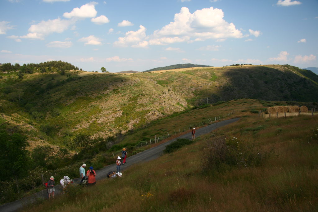 2013 Cevennes Le Mashioux