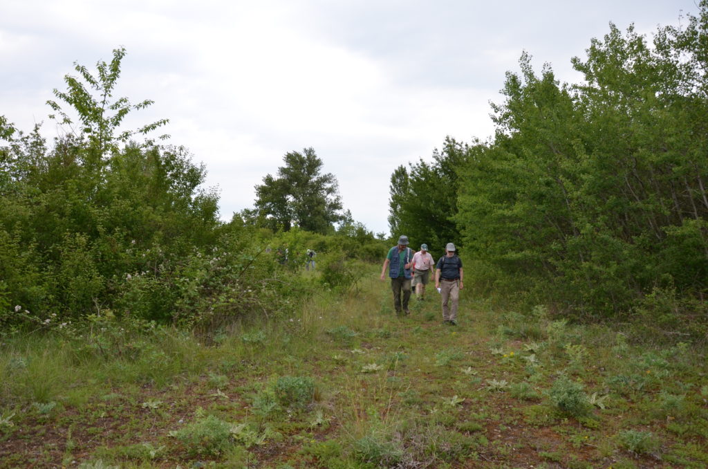 2017 Alsace Heiteren