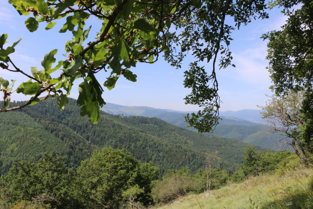 2017 Alsace relief pré-vosgien