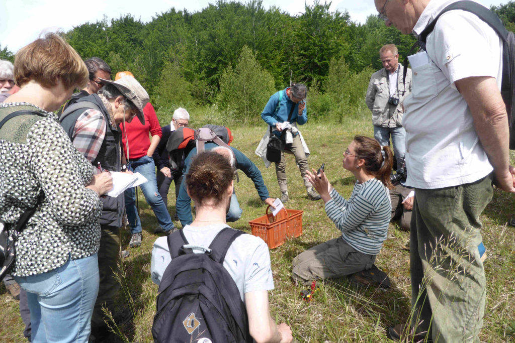 Marine Cocquempot présente quelques espèces de lichens terricoles aux participants. (c) F. WARNET