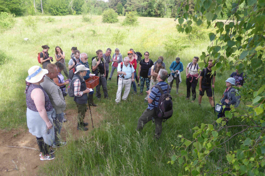 Rémi François présente quelques plantes remarquables du site aux participants. (c) M. COCQUEMPOT