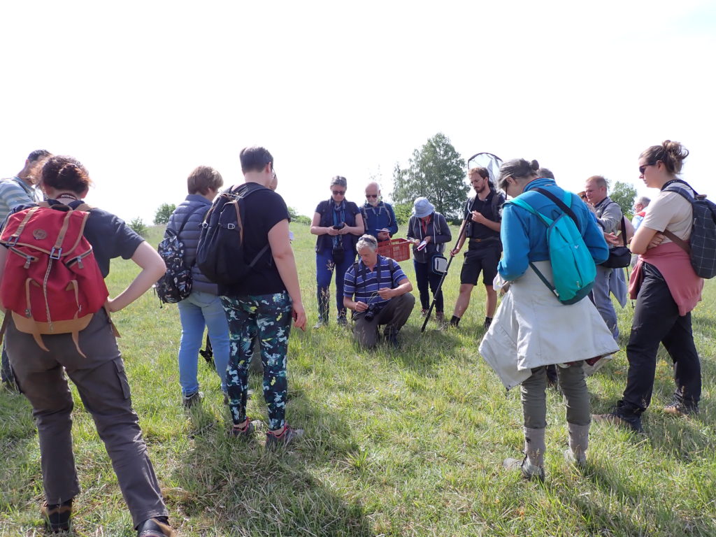 Rémi François présente quelques plantes remarquables du site aux participants. (c) M. COCQUEMPOT