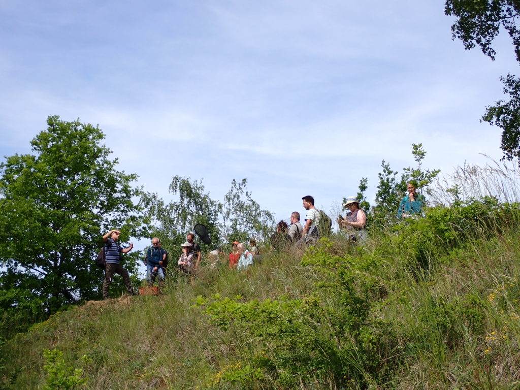 Rémi François présente quelques plantes remarquables du site aux participants. (c) M. COCQUEMPOT