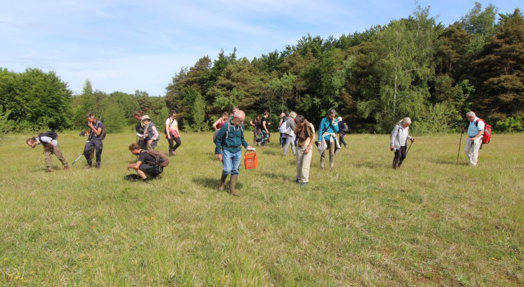 Participants à la recherche des espèces de pelouses à Bailleul-sur-Thérain. (c) R. FRANCOIS