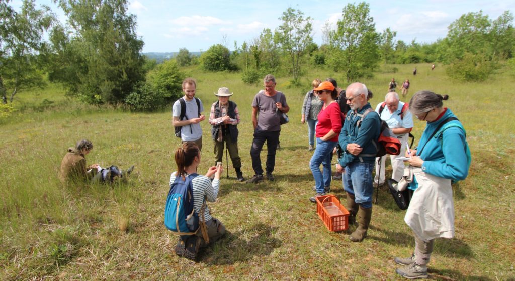Marine Cocquempot présente quelques espèces de lichens terricoles aux participants. (c) R. FRANCOIS