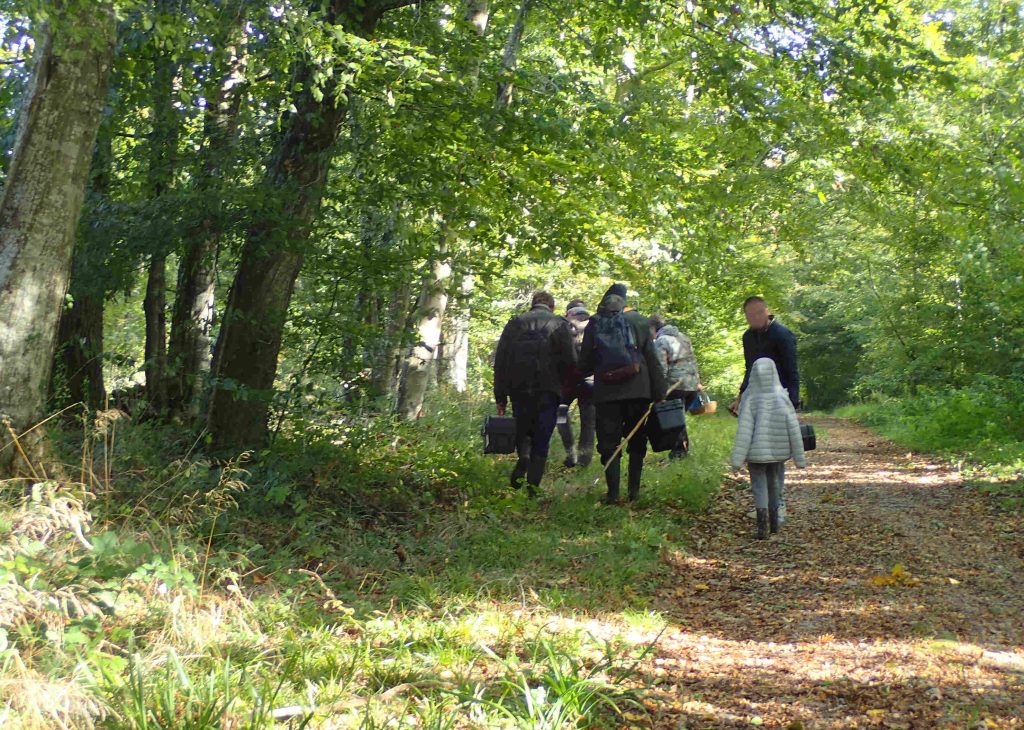 Sorrus - dans le parc des Bruyères