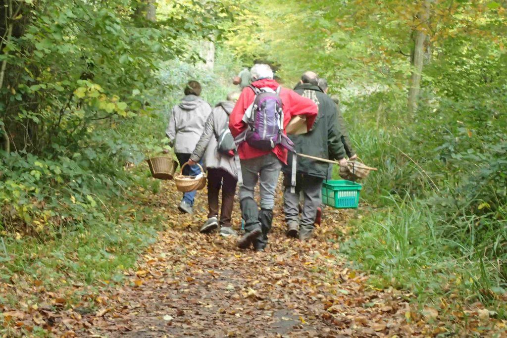 Le groupe sur un chemin forestier en forêt de Hez-Froidmont