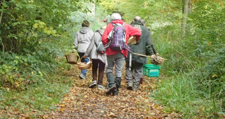 Le groupe sur un chemin forestier en forêt de Hez-Froidmont