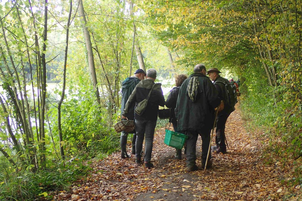 Sur le bord de l'étang de la Neuville-en-Hez FW